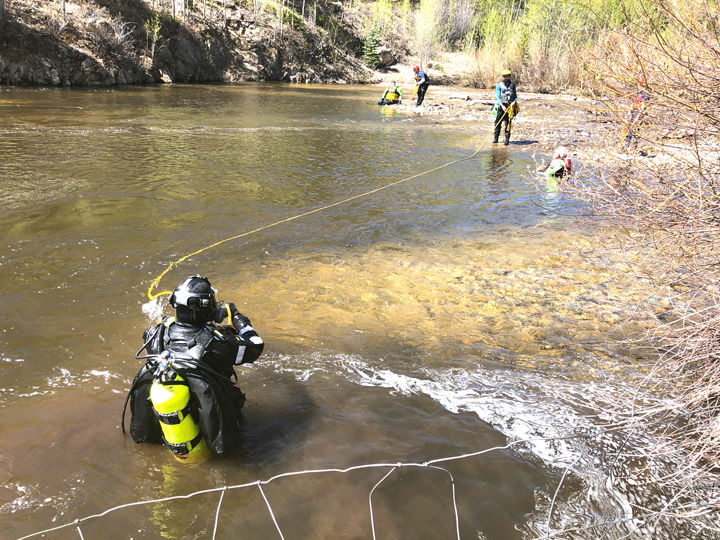 Search continues for Morphew